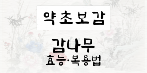 감나무