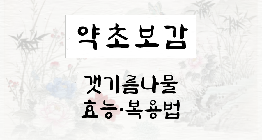 갯기름나물
