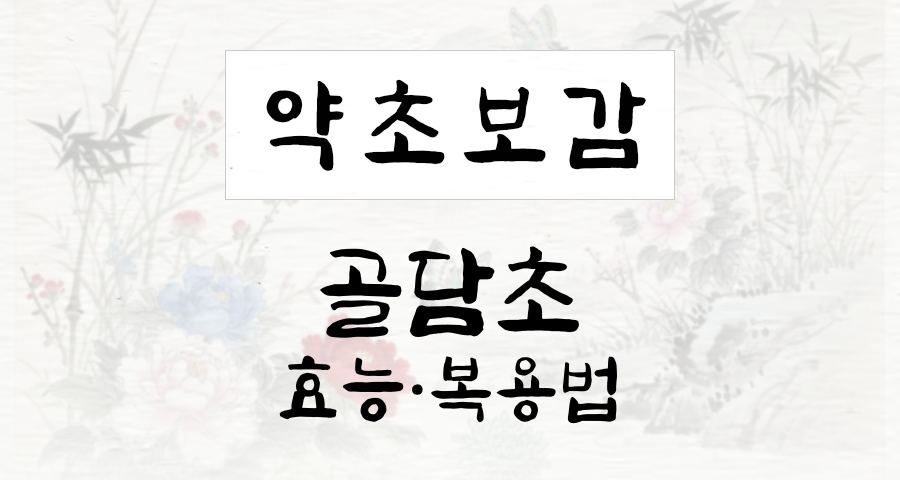 골담초