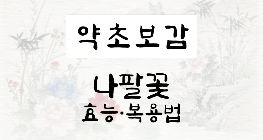 나팔꽃