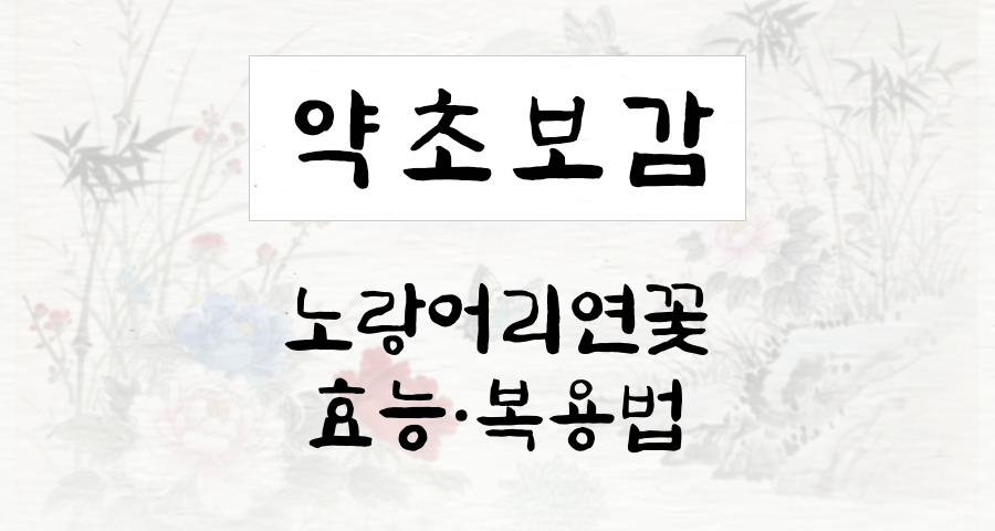 노랑어리연꽃