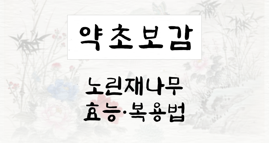 노린재나무