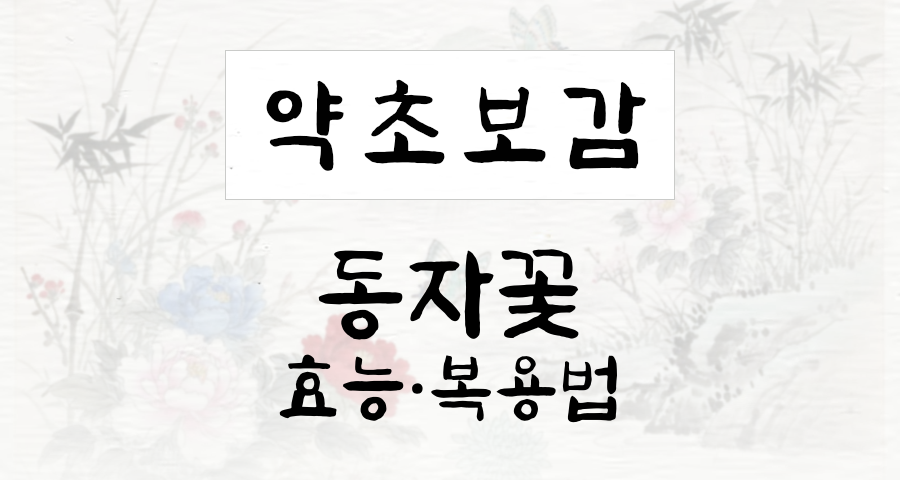 동자꽃