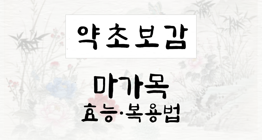 마가목