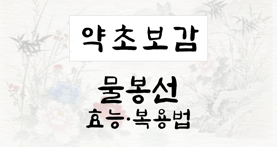 물봉선