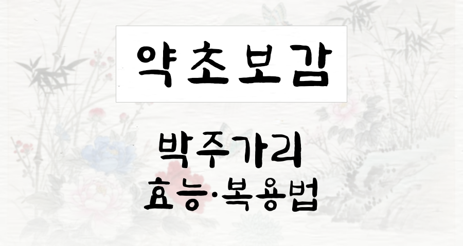 박주가리