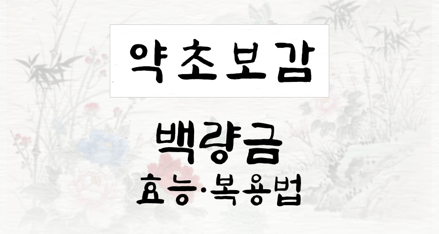 백량금