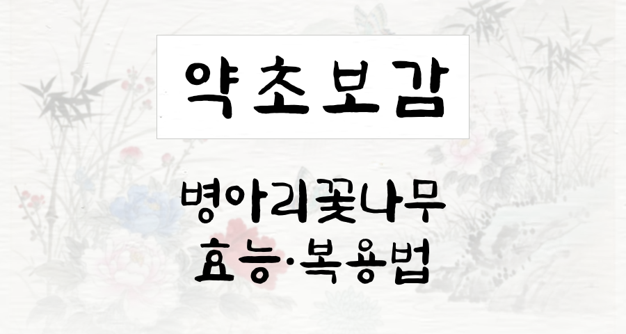 병아리꽃나무