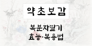 복분자딸기