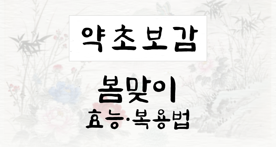 봄맞이
