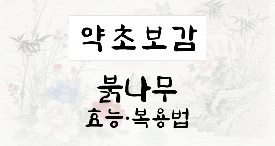 붉나무