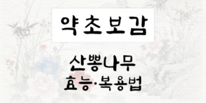 산뽕나무