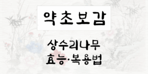 상수리나무