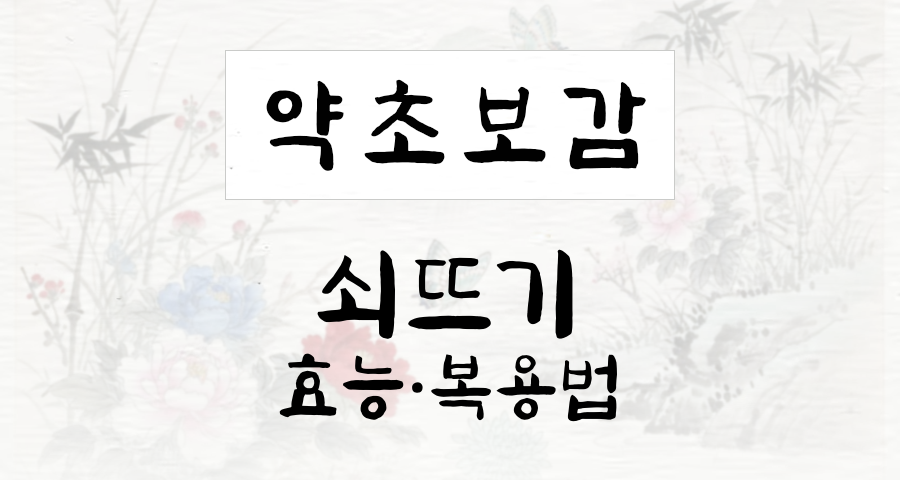 쇠뜨기