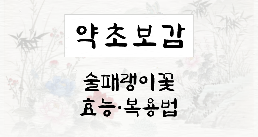 술패랭이꽃