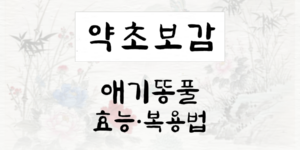 애기똥풀
