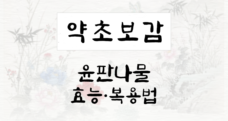 윤판나물
