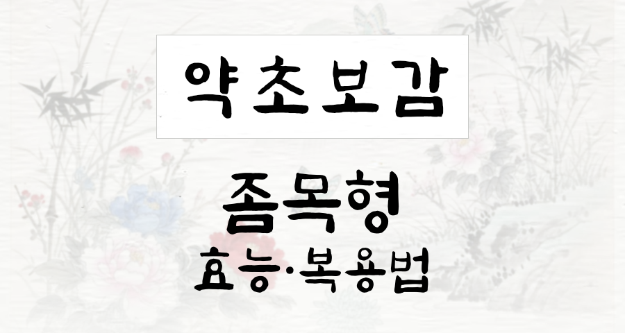 좀목형