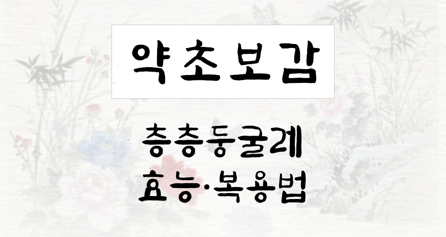 층층둥굴레