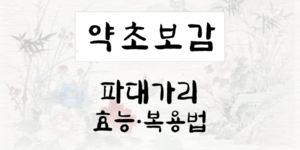 파대가리