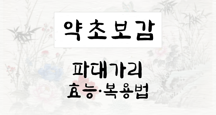 파대가리