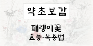 패랭이꽃