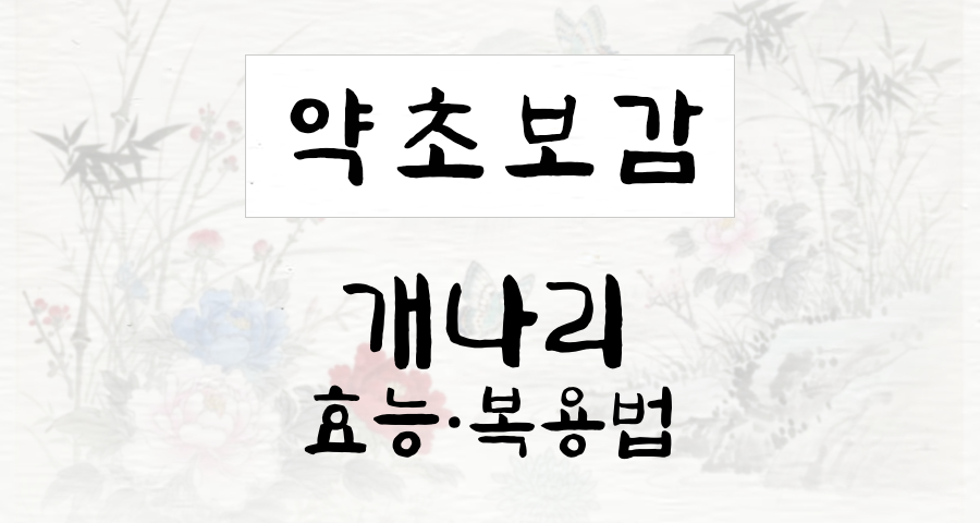 개나리