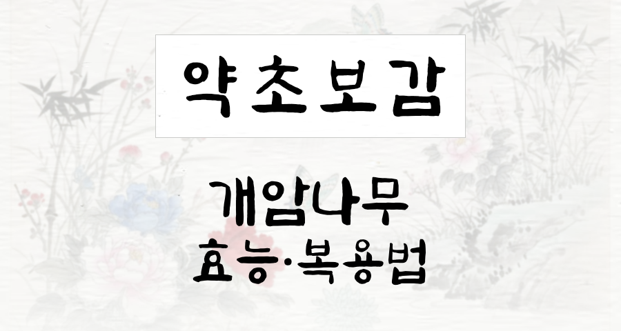 개암나무
