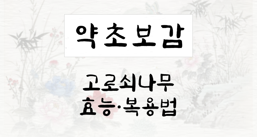 고로쇠나무