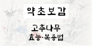고추나무