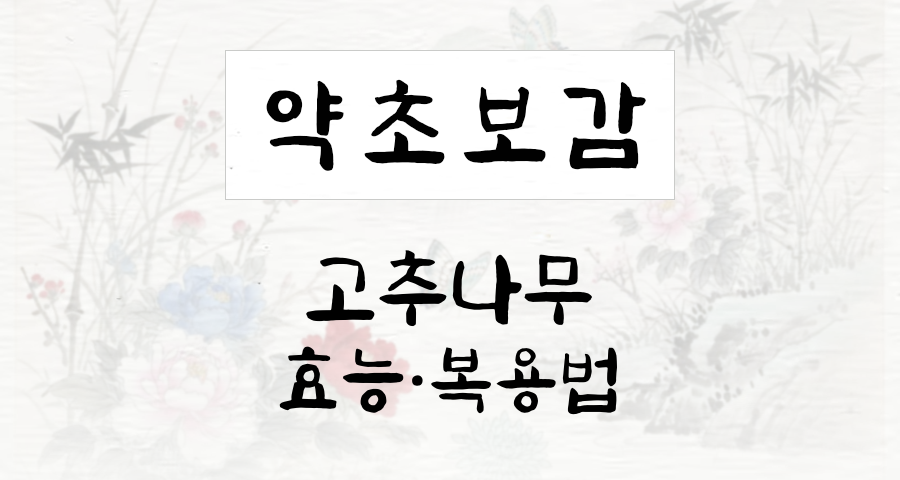고추나무