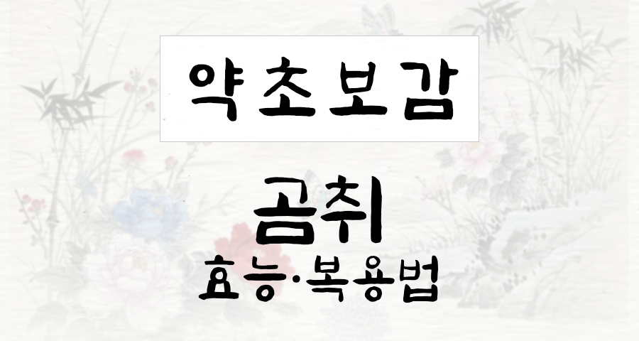 곰취