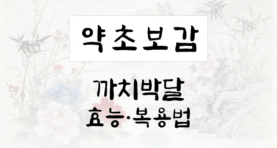 까치박달