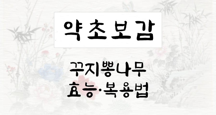 꾸지뽕나무