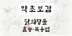 닭의장풀