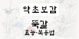 뚝갈