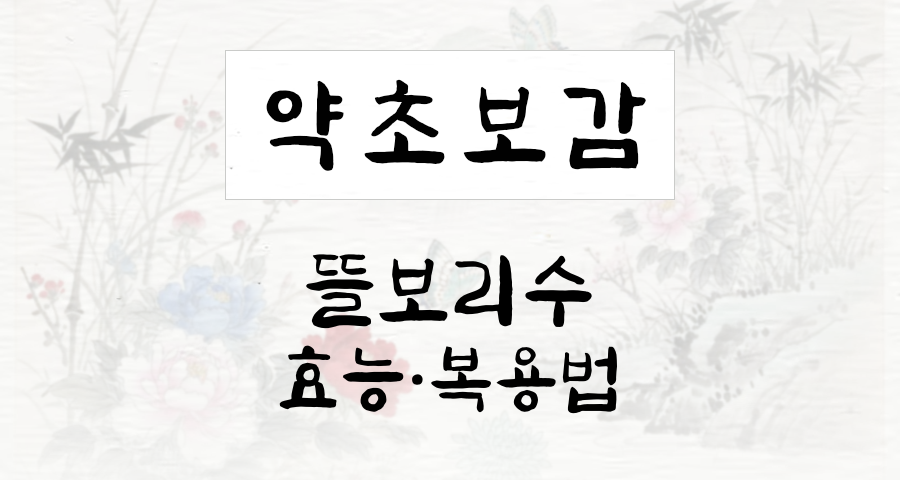 뜰보리수