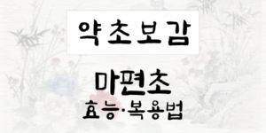마편초