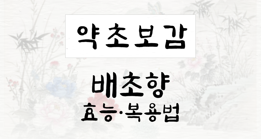 배초향