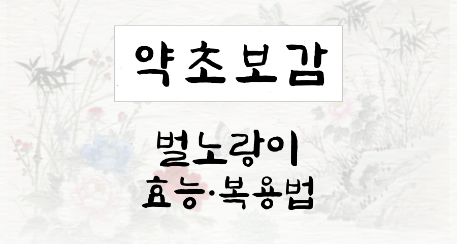 벌노랑이