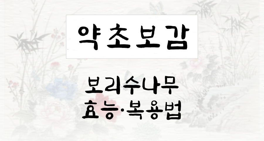 보리수나무