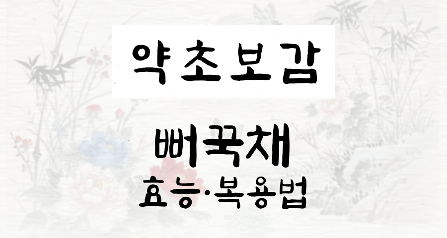 뻐꾹채