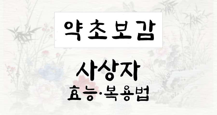 사상자