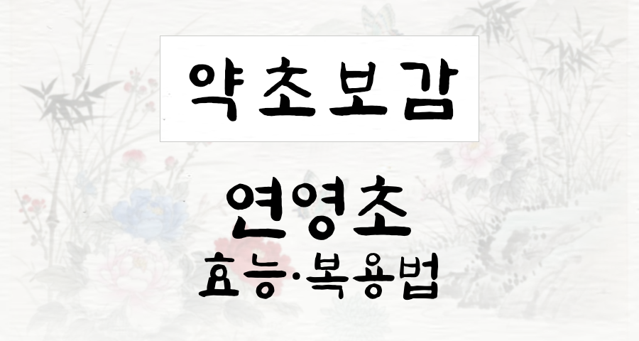 연영초