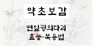 연잎꿩의다리