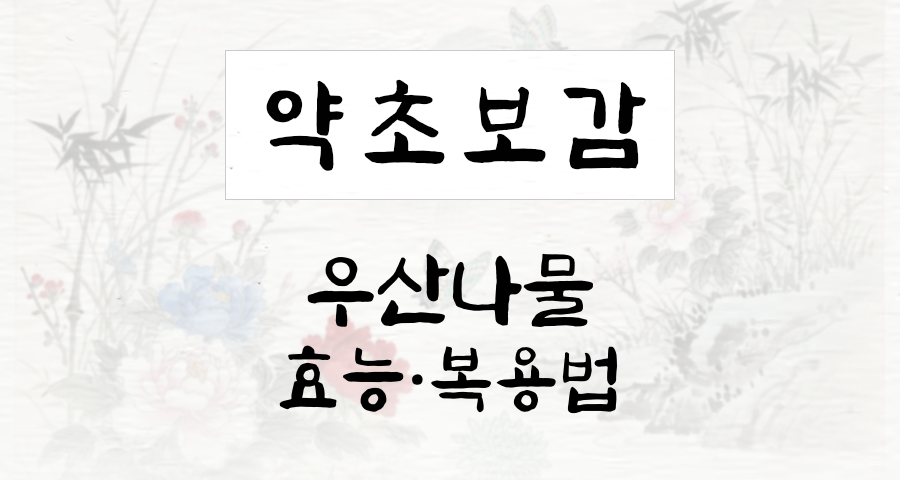 우산나물