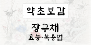 장구채