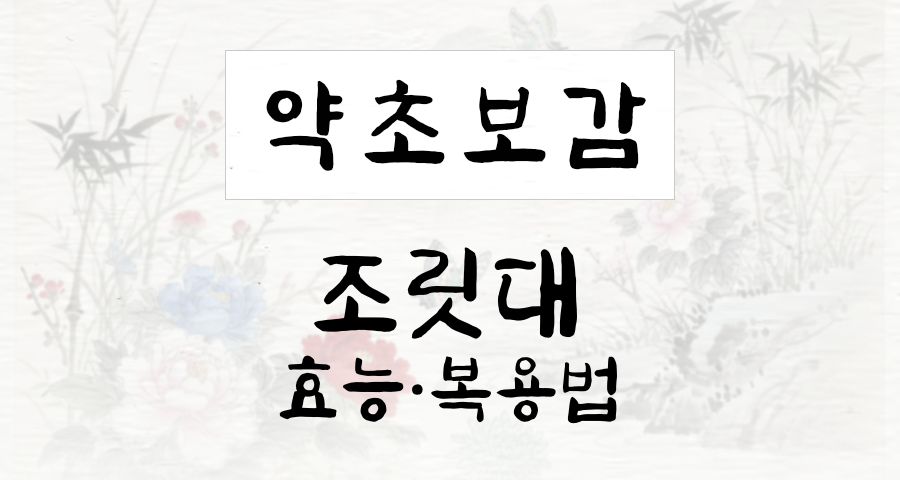 조릿대
