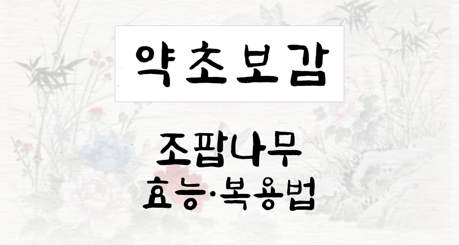 조팝나무