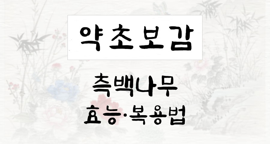 측백나무